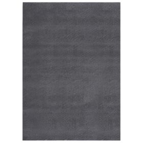 Washable Rug Fluffy Anti Slip Anthracite