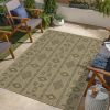 Indoor/Outdoor Area Rug