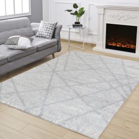 Shaggy Area Rug