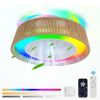 Modern Rustic Ceiling Fan Light with LED