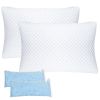 2 Pack Shredded Memory Foam Pillows
